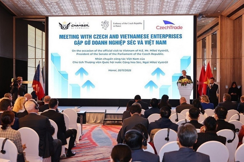 Czech Senate President urges stronger business cooperation with Vietnam